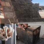 Ladrillos-sostenibles-hechos-con-desechos -de- cultivo -de- hongos -y- materiales- biodegradables