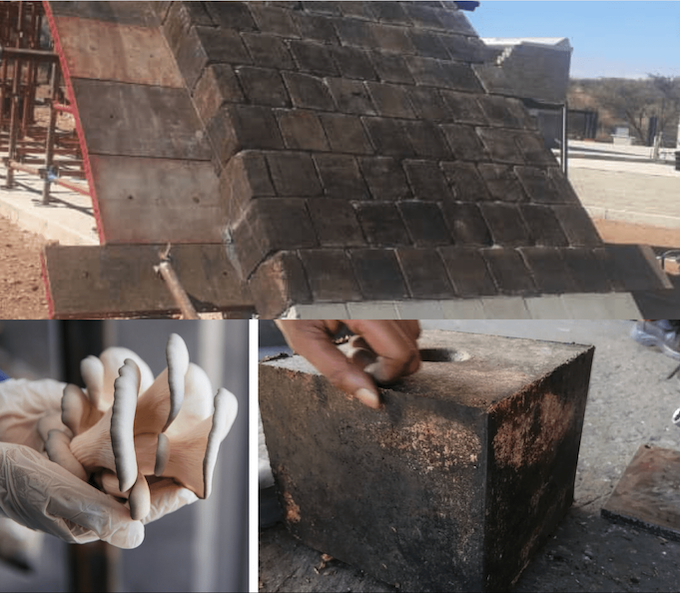 Ladrillos-sostenibles-hechos-con-desechos -de- cultivo -de- hongos -y- materiales- biodegradables
